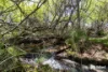 55 Jacksons Road, Beulah, Tas 7306-Image