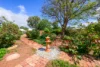 55 Jubilee Street, Toodyay, WA 6566-Image