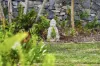 55 Kilmorey Street, Carindale, Qld 4152-Image