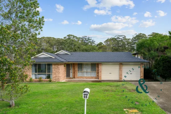 55 Kindlebark Drive, Medowie, NSW 2318