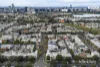 55 Merton Street, Albert Park, Vic 3206-Image