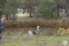 55 Moffats Road, Dereel, Vic 3352-Image