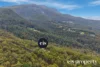 55 Morphetts Road, Neika, Tas 7054-Image