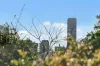 55 Norman Street, East Brisbane, Qld 4169-Image
