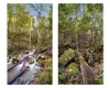 55 Nottingham Drive, Glenreagh, NSW 2450-Image