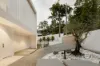 55 Orchard Terrace, St Lucia, Qld 4067-Image