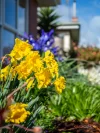 55 Paraka Street, Parklands, Tas 7320-Image