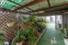 55 Pommy Avenue, Barmera, SA 5345-Image