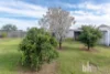55 Pommy Avenue, Barmera, SA 5345-Image