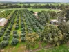 55 Stock Route, Laura, SA 5480-Image