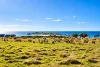 55 Tasman Highway, Bicheno, Tas 7215-Image