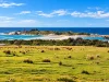55 Tasman Highway, Bicheno, Tas 7215-Image