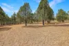 55 The Albens Drive, Tamworth, NSW 2340-Image