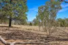 55 The Albens Drive, Tamworth, NSW 2340-Image