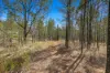 55 The Albens Drive, Tamworth, NSW 2340-Image