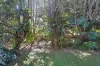 55 Western Avenue, Montville, Qld 4560-Image