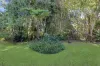 55 Western Avenue, Montville, Qld 4560-Image