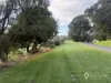 550 Hazel Park Road, Hazel Park, Vic 3966-Image