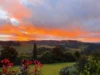 5518 Waterfall Way, Fernbrook NSW 2453-Image