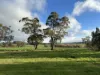 5529 Bass Highway, Elizabeth Town, Tas 7304-Image