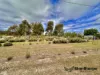 553 Donnellys Castle Road, Pozieres, Qld 4352-Image