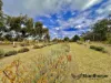553 Donnellys Castle Road, Pozieres, Qld 4352-Image