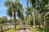 553 Grassdale Road, Gumdale, Qld 4154-Image