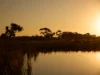 5541 Nautical Cct, The Grove, Tarneit, Vic 3029-Image