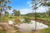 5543 Putty Road, Howes Valley, NSW 2330-Image