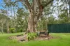 5543 Putty Road, Howes Valley, NSW 2330-Image