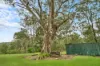 5543 Putty Road, Howes Valley, NSW 2330-Image