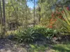 56-70 Harrison Road, Cedar Vale QLD 4285-Image