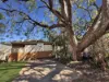 56 Bell Street, Chinchilla, Qld 4413-Image