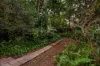 56 Bristol Street, West End, Qld 4101-Image