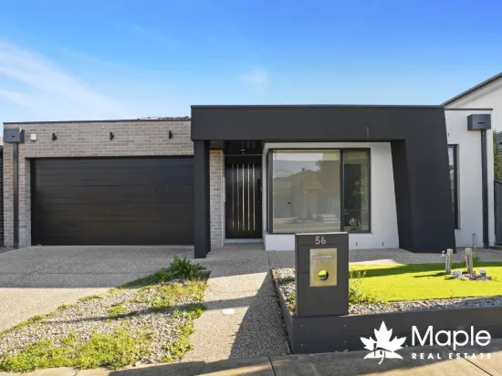 56 Distinction Avenue, Craigieburn, Vic 3064