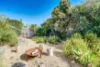 56 Downer Avenue, Goolwa South, SA 5214-Image