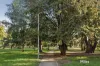 56 Durham Street, Eaglemont, Vic 3084-Image