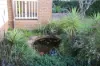 56 East Street, Grenfell, NSW 2810-Image