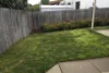 56 Flos Greig Street, Watson, ACT 2602-Image