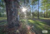 56  Glenthorne Road, Glenthorne, NSW 2430-Image
