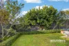 56 High Street, East Launceston, Tas 7250-Image