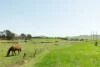 56 Hollows Circuit, MacGregor, ACT 2615-Image