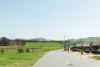 56 Hollows Circuit, MacGregor, ACT 2615-Image