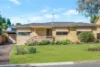 56 Hopman Street, Greystanes, NSW 2145-Image