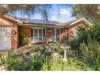 56 Jack Avenue, Mount Austin, NSW 2650-Image