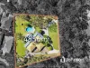 56 Jarvis Road, Waterford, Qld 4133-Image
