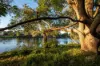 56 Kalua Drive, Chittaway Bay NSW 2261-Image