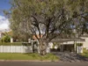 56 Kauri Road, Ashgrove, Qld 4060-Image
