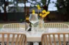 56 Kuruc Road, Cardigan VIC 3352-Image