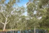 56 Mahogany Avenue, Highbury, SA 5089-Image